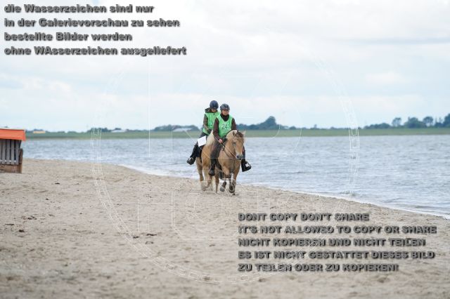 s_K3F05000.JPG
